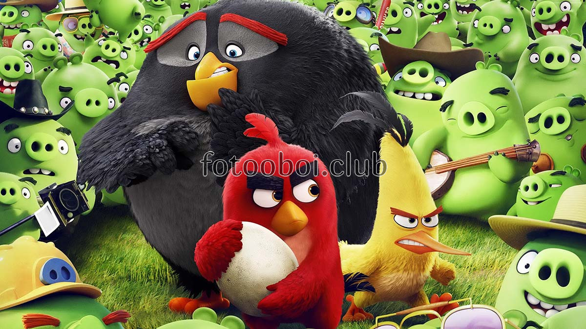 птицы, Энгри Бертс, angry birds, детские, для мальчика, для девочки, 3д, 3d, игра, свинки, свиньи